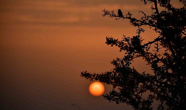 Kuş Cenneti'nde sonbahar