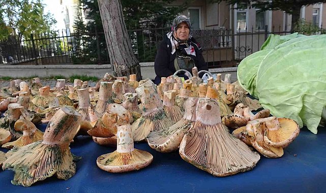 Kütahya'da 'Melki' bereketi