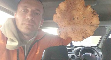 Kütahya'da bulunan dev mantar şaşırttı
