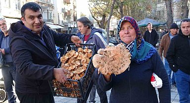 Kütahya'da melki mantarı çoğaldı, fiyatlar düştü