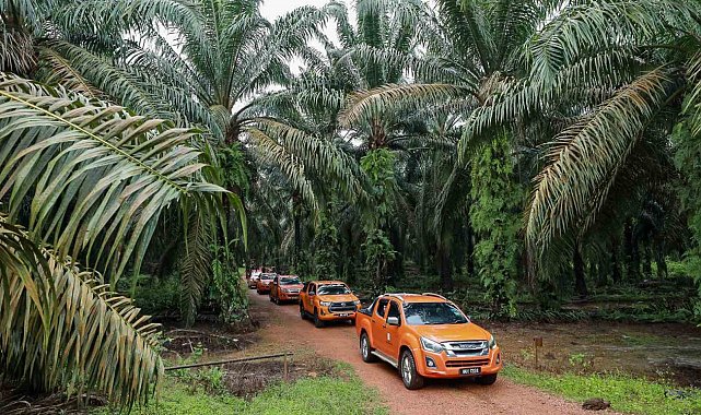 Malezya ile ABD arasında palm yağı savaşı