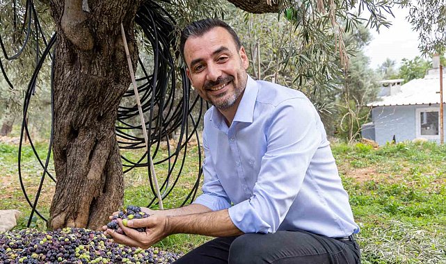 Manavgat'ta Zeytin ve Zeytinyağı Festivali'nin ikincisi başlıyor