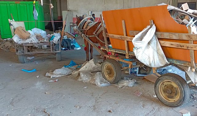 Manisa'da at arabası operasyonu: İki at arabası trafikten men edildi