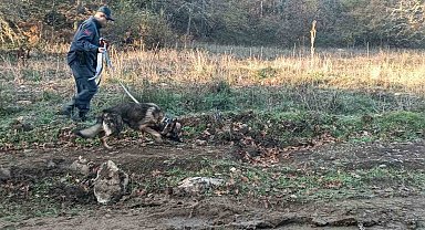 Mantar toplamak için gittiği ormanlık alanda kaybolan adamı 96 kişilik ekip arıyor
