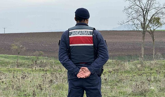 Mantar toplarken top mermisi buldular