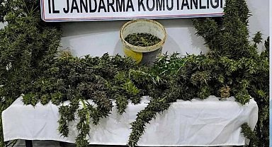 Mardin'de uyuşturucu operasyonunda 3 tutuklama