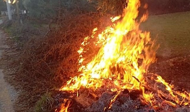 Milas'taki orman yangınları büyümeden söndürüldü