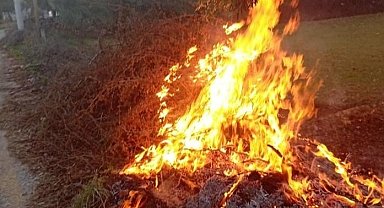 Milas'taki orman yangınları büyümeden söndürüldü