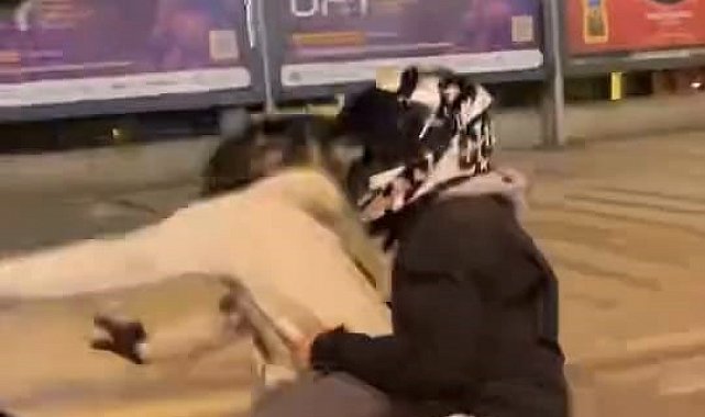 Motosikletiyle ön kaldırdı, kayarak böyle düştü