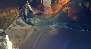 Muş'ta hafif ticari araç ata çarptı: 2 yaralı