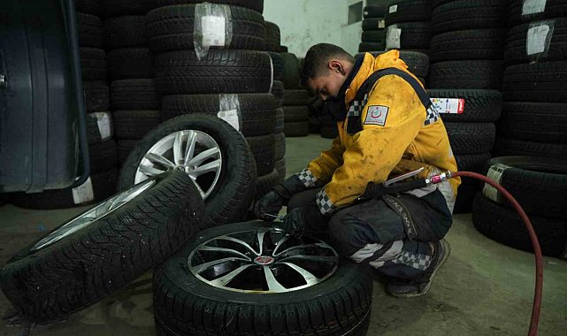 Muş'ta köpeklerin saldırdığı tavuk oto lastikçiye sığındı