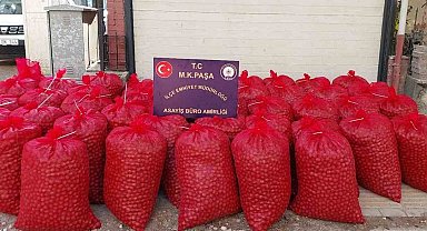 Mustafakemalpaşa'da hırsızlar 46 çuval ceviz ile yakalandı