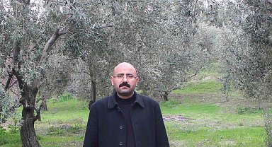 Mut'da bu yıl 120 bin ton zeytin rekoltesi bekleniyor
