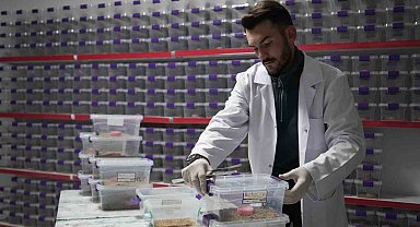 Niğde'den dünyaya 'akrep zehri' ihracatı