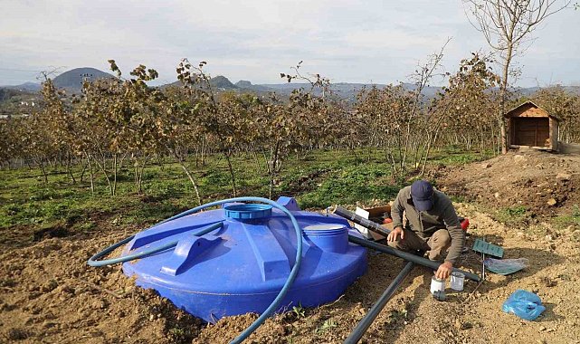 Ordu'da fındık bahçelerine kuraklık tehlikesine karşı damlama sistemi