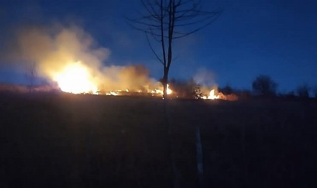 Ordu'da fındık bahçesinde yangın