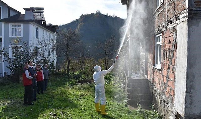 Ordu'da kokarcaya karşı 330 bin kışlak ilaçlanacak