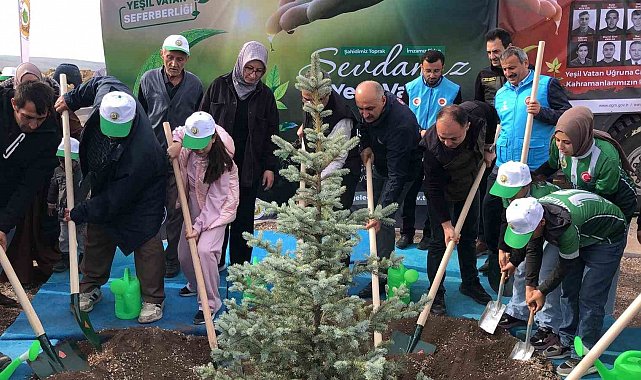 Orman şehidi Eyüp Dereli adına oluşturulan alana 15 bin fidan dikildi