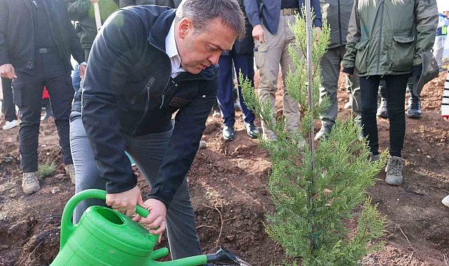 Orman yangınlarından etkilenen bölgede 5 bin fidanı toprakla buluşturuldu