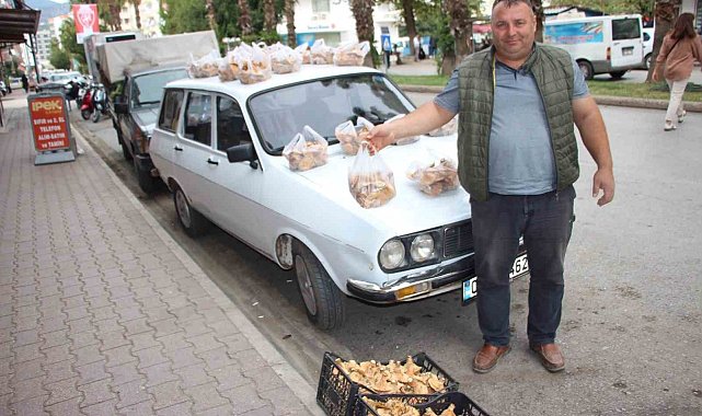 Ormanda sağanak yağmur altında kendiliğinden yetişiyor, kilogramı 350 TL'den satılıyor
