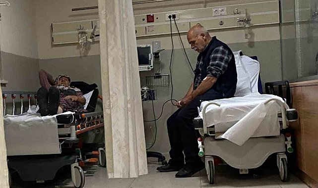 Ormandaki mantarları yiyen 7 kişi hastanelik oldu