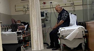 Ormandaki mantarları yiyen 7 kişi hastanelik oldu