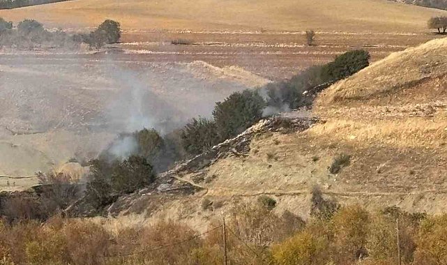 Ormanlık alanda korkutan yangın