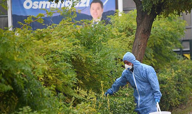 Osmangazi'de kemirgenlere karşı ilaçlama çalışması başlatıldı