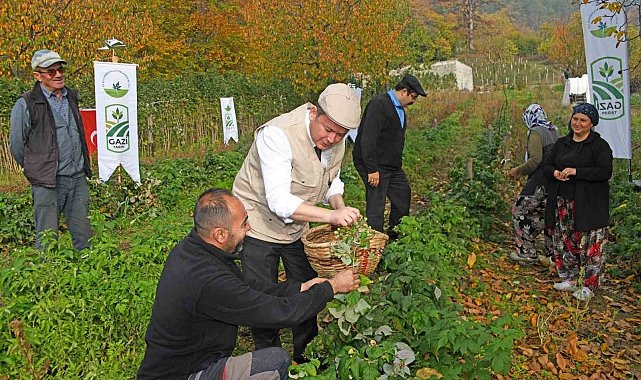 Osmangazi'de Üzümsü Meyvelerde Organik Tarım Seferberliği