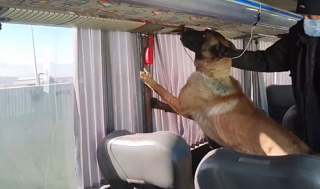 Otobüs bagajında skunk düzeneği: 8 kilo zehir ele geçirildi