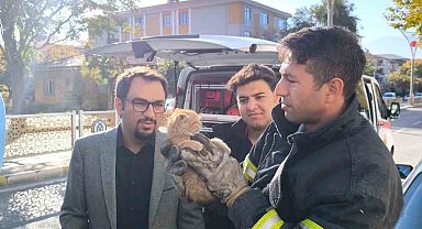 Otomobilin motor kısmına sıkışan yavru kedi itfaiye ekiplerince kurtarıldı