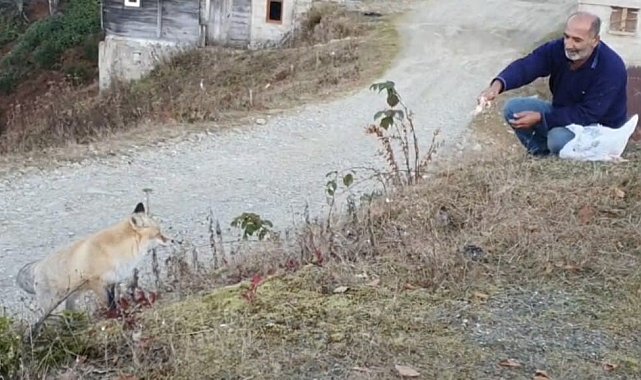 Pimbilona Yaylası'nda sıra dışı dostluk