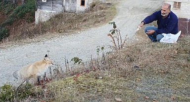 Pimbilona Yaylası'nda sıra dışı dostluk