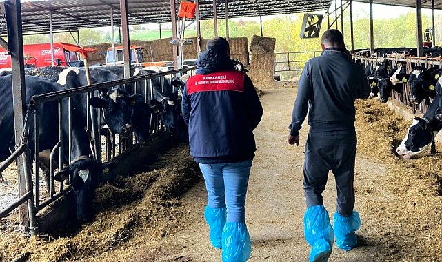 Pınarhisar'da ari hayvan işletmelerindeki çalışmalar incelendi