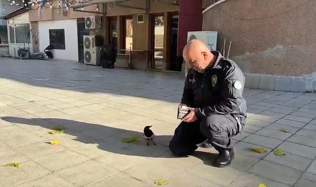 Polis memuru ile saksağan kuşunun dostluğu görenleri hayrete düşürdü