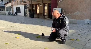 Polis memuru ile saksağan kuşunun dostluğu görenleri hayrete düşürdü