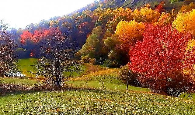 Posof'ta sonbaharla gelen güzellikler