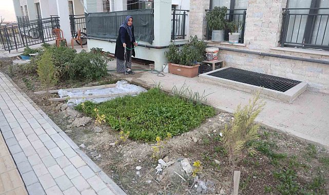 "Kadın eli değen her yer güzelleşir" sözü gerçek oldu: Depremzede kadın yeni yuvasının bahçesini ektiği sebzelerle güzelleştirdi