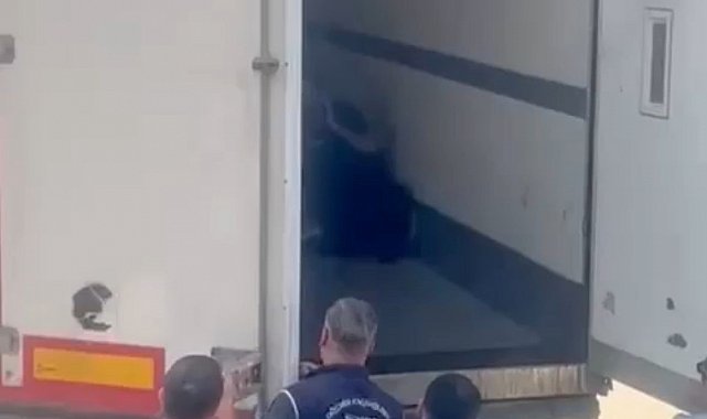 Sakarya'da 24 düzensiz göçmen yakalandı