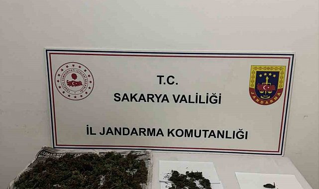 Sakarya'da uyuşturucu operasyonu: 1 tutuklama