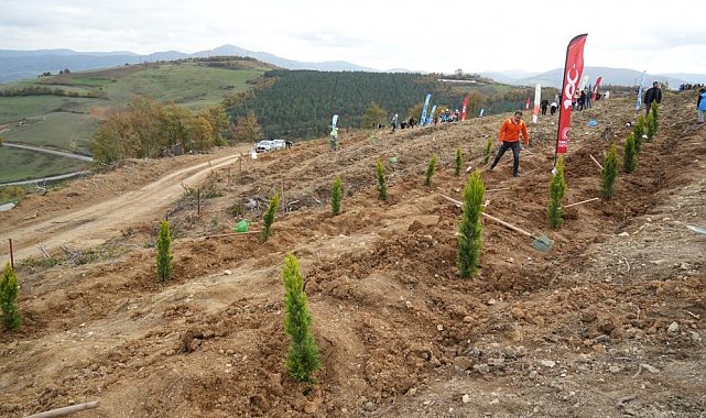Samsun'da 11 Kasım Milli Ağaçlandırma Günü'nde 37 bin 380 fidan toprakla buluşacak