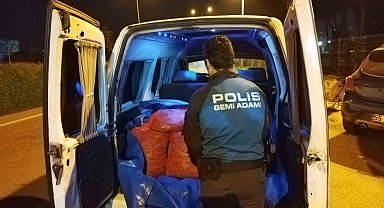 Samsun'da 200 kilo kaçak midye ele geçirildi