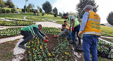 Şanlıurfa'da 400 bin çiçek toprakla buluşuyor