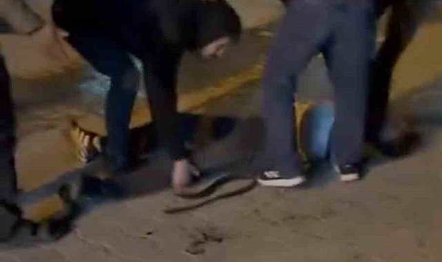 Şanlıurfa'da bıçaklı kavga: 3 yaralı