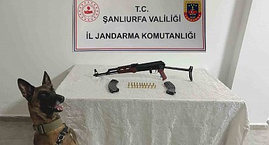 Şanlıurfa'da ruhsatsız silah operasyonu