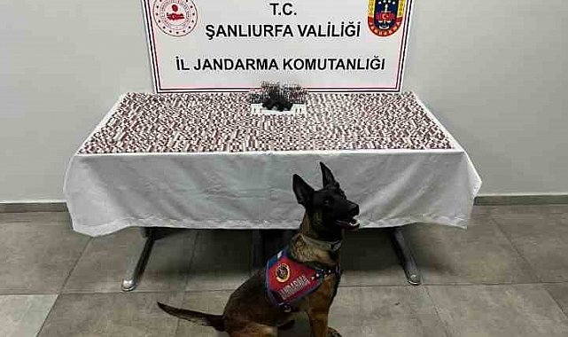 Şanlıurfa'da uyuşturucu operasyonu: 2 gözaltı
