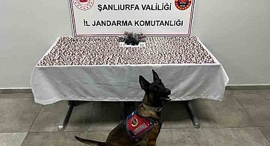 Şanlıurfa'da uyuşturucu operasyonu: 2 gözaltı