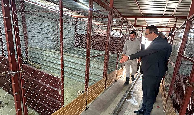 Sarıgöl'de hayvan bakım hizmetlerine yakın takip