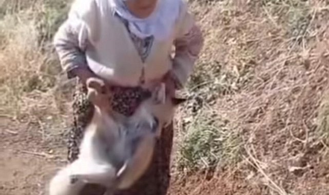 Sason'un cesur ninesi Tayyibe Nine hayatını kaybetti