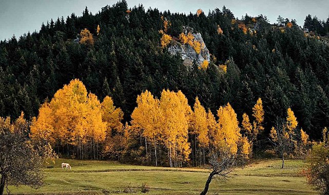 Şavşat'tan kartpostallık manzaralar